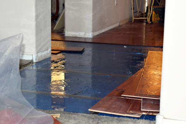 Professional Basement Flood Cleanup technician working in Calverton, NY